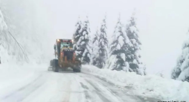 Giresun'un o ilçesinde karla mücadele sürüyor
