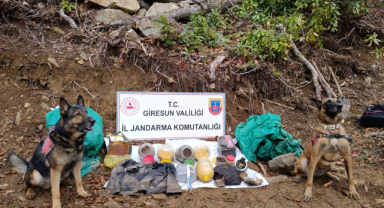 Giresun'un O İlçesinde Terörist Deposu İmha Edildi!