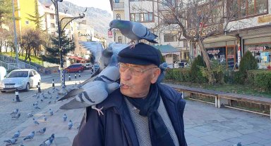 Güvercinleri ağzıyla besliyor