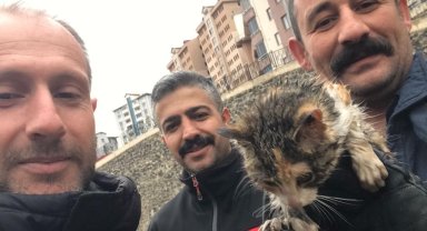 Harşit Çayı'na düşen yavru kediyi itfaiye ekipleri kurtardı