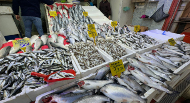 Havalar soğudu, balığa talep arttı