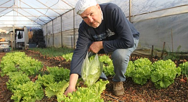 Hobi için başladı ek gelir kapısı oldu