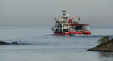 Karadeniz’de 2 gün hamsi avı yok!