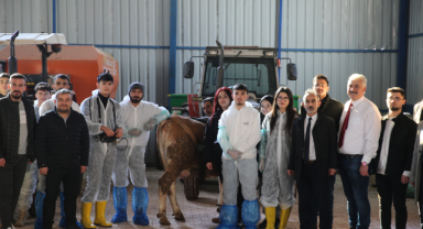 Öğrencilere besi çiftliğinde uygulamalı eğitim