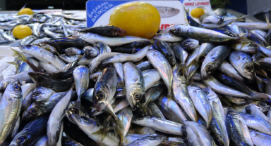 Olumsuz hava şartları fiyatları katladı