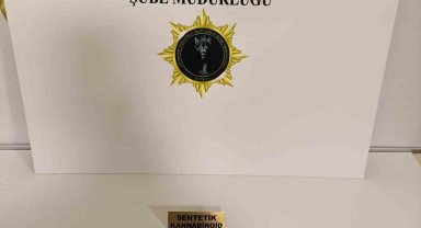 Samsun'da bonzai ele geçti: 2 gözaltı