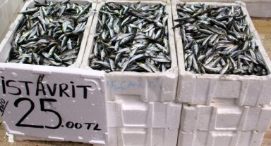 Sofraların yeni gözdesi istavrit