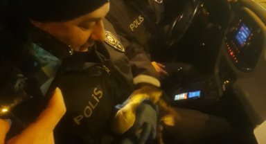 Yaralı kuşa polis şefkati