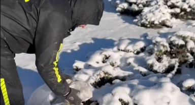 Zorlu kış günlerinde yaban hayvanlarını unutmadılar