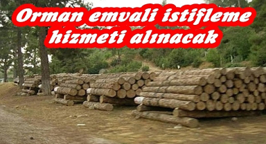 Orman emvali istifleme hizmeti alınacak