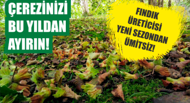 Çerezinizi bu yıldan ayırın!