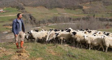 Çobanlar da sever...