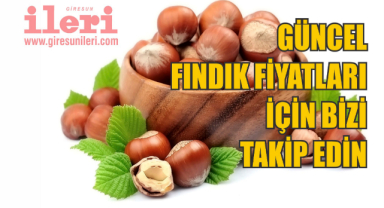 Fındık fiyatları 130 TL olacak mı?