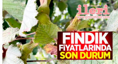 Fındık fiyatları ne kadar?