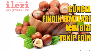 Fındık fiyatları seçimi mi bekliyor?