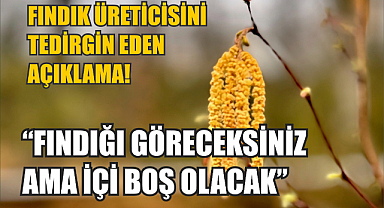 Fındık üreticisini tedirgin eden açıklama!