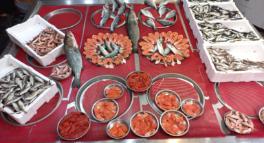 Giresun'da balık fiyatları ne kadar?