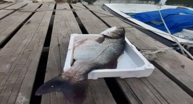 Görenleri şaşkına çevirdi! Tam 15 kilo