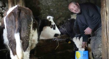 Tavuk Karası hastalığıyla mücadele eden anne-oğulun dramı