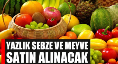Yazlık sebze ve meyve alınacak