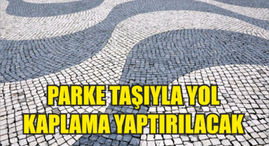 Parke taşıyla yol kaplama yaptırılacak