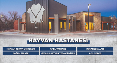 Başkan Şenlikoğlu bir ilke daha imza atıyor: Hayvan Hastanesi kuracak!