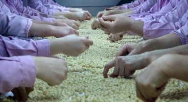 Düzce'den 2 bin 835 ton fındık ihraç edildi