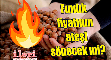 Fındık fiyatının ateşi sönecek mi?