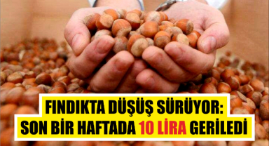 Fındıkta düşüş sürüyor: Son bir haftada 10 lira geriledi