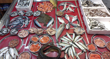 Giresun'da balık fiyatları bugün ne kadar?