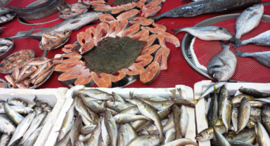 Giresun'da balık fiyatları bugün ne kadar?