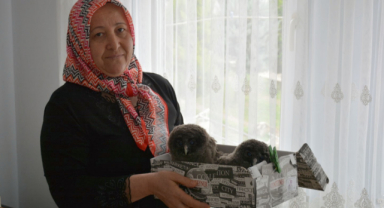Giresunlu kadın baykuş yavrularına kayıtsız kalmadı