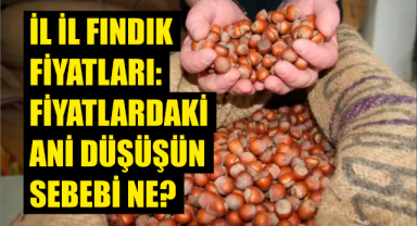 İl il fındık fiyatları: Fiyatlardaki ani düşüşün sebebi ne?
