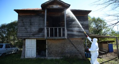 Ordu kokarcaya savaş açtı