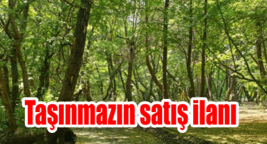 Taşınmazın satış ilanı