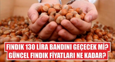 Fındık 130 lira bandını geçecek mi? Güncel fındık fiyatları ne kadar?