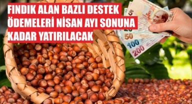 Fındık Alan Bazlı Destek Ödemeleri Nisan Ayı Sonuna Kadar Yatırılacak