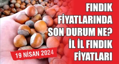 Fındık fiyatlarında son durum ne? İl il fındık fiyatları