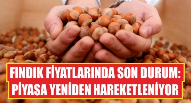 Fındık fiyatlarında son durum: Piyasa yeniden hareketleniyor