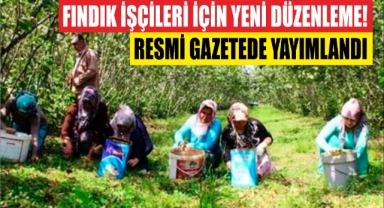 Fındık İşçileri İçin Yeni Düzenleme! Resmi Gazetede Yayımlandı