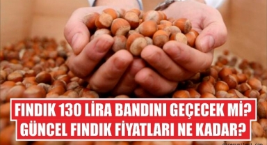 Fındık kaç lira?
