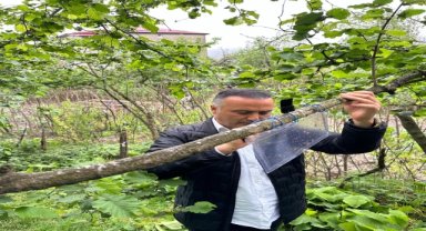 Fındık sektörü paydaşları kahverengi kokarcaya karşı bilgilendirildi