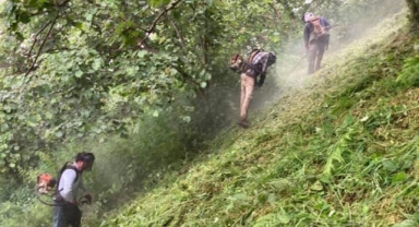 Fındıkta ürperten tehdit! 150 bin ton fındık risk altında!