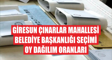 Giresun Çınarlar Mahallesi Belediye Başkanlığı Seçimi Oy Dağılım Oranları