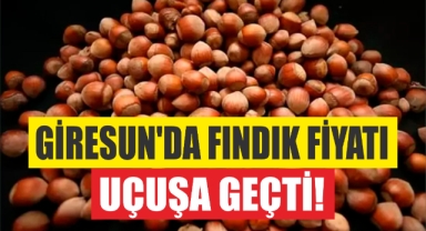 Giresun'da fındık fiyatı uçuşa geçti!