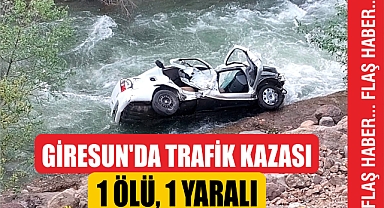Giresun'da trafik kazası: 1 ölü, 1 yaralı