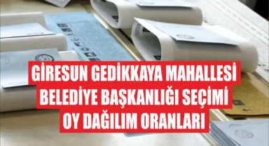 Giresun Gedikkaya Mahallesi Belediye Başkanlığı Seçimi Oy Dağılım Oranları