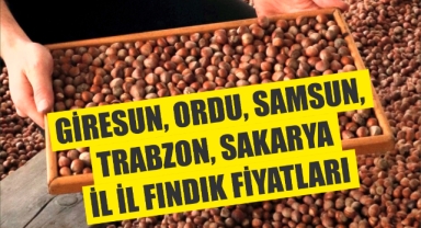 Giresun, Ordu, Samsun, Trabzon, Sakarya il il fındık fiyatları