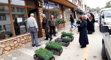 Havalar ısındı fidelerin ekim zamanı geldi