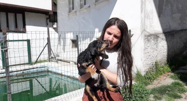 Havuzda boğulmak üzere olan yavru köpeği vatandaşlar kurtardı
